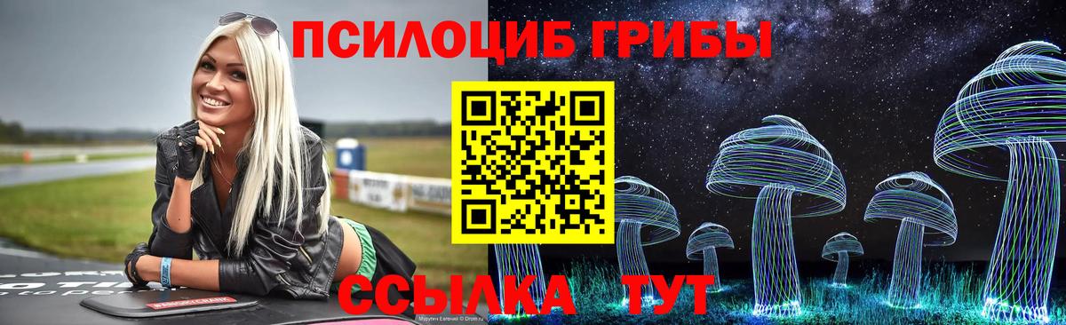 Протвино  Псилоцибиновые грибы MAGIC MUSHROOMS  Вход с VPN 